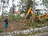 1/DSCN6570