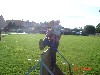 3/DSC05402