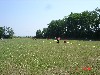 2/DSC04766