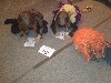 4/IMG_2452