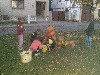1/IMG_2368