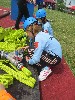 3/IMG_8009