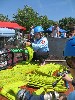 2/IMG_8375