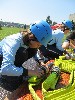 3/IMG_8376