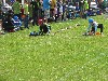 1/IMG_8335
