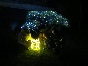 Resampled/IMG_2204