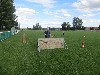 Resampled/IMG_1109