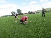 Resampled/IMG_1115