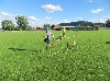 Resampled/IMG_1121