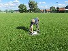 Resampled/IMG_1124