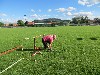 Resampled/IMG_1125
