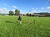 Resampled/IMG_1126