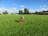 Resampled/IMG_1127