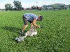 Resampled/IMG_1129