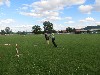 Resampled/IMG_1133