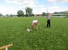 Resampled/IMG_1134