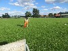 Resampled/IMG_1138