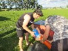 Resampled/IMG_1145