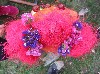 Resampled/IMG_3523