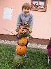 Resampled/IMG_3524