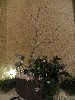 Resampled/IMG_4095